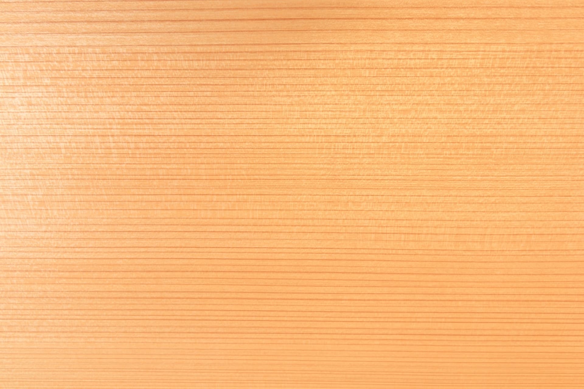 4858263_m.jpg